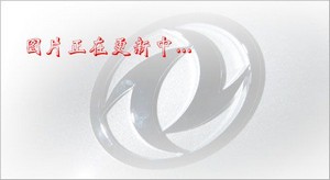 ǰĺ˸gƷʽ\(yn)ݔ܇(ch)